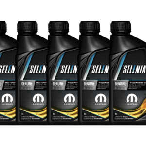 Selenia Multipower Gas 5w40 5L