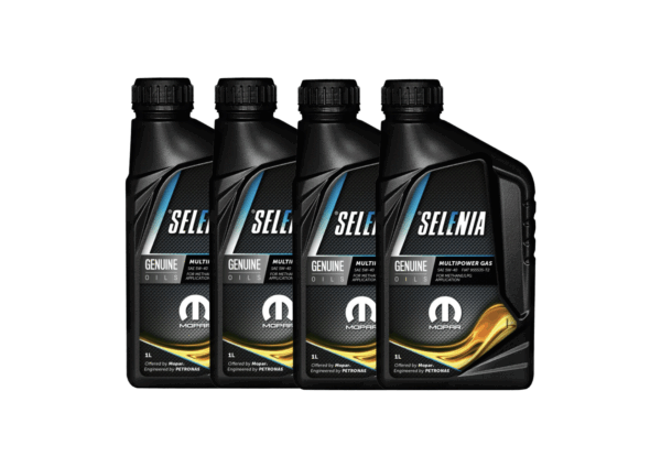 Selenia Multipower Gas 5w40 4L