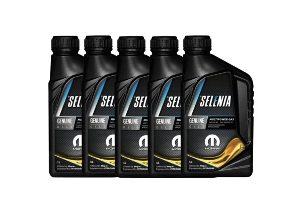 Selenia Multipower Gas 5w40 5L